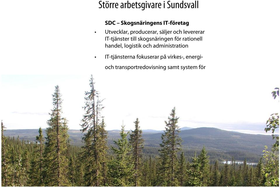 administration IT-tjänsterna fokuserar på virkes-, energioch transportredovisning samt