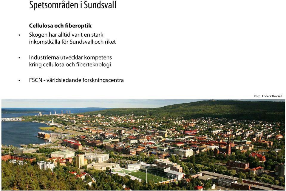 Industrierna utvecklar kompetens kring cellulosa och