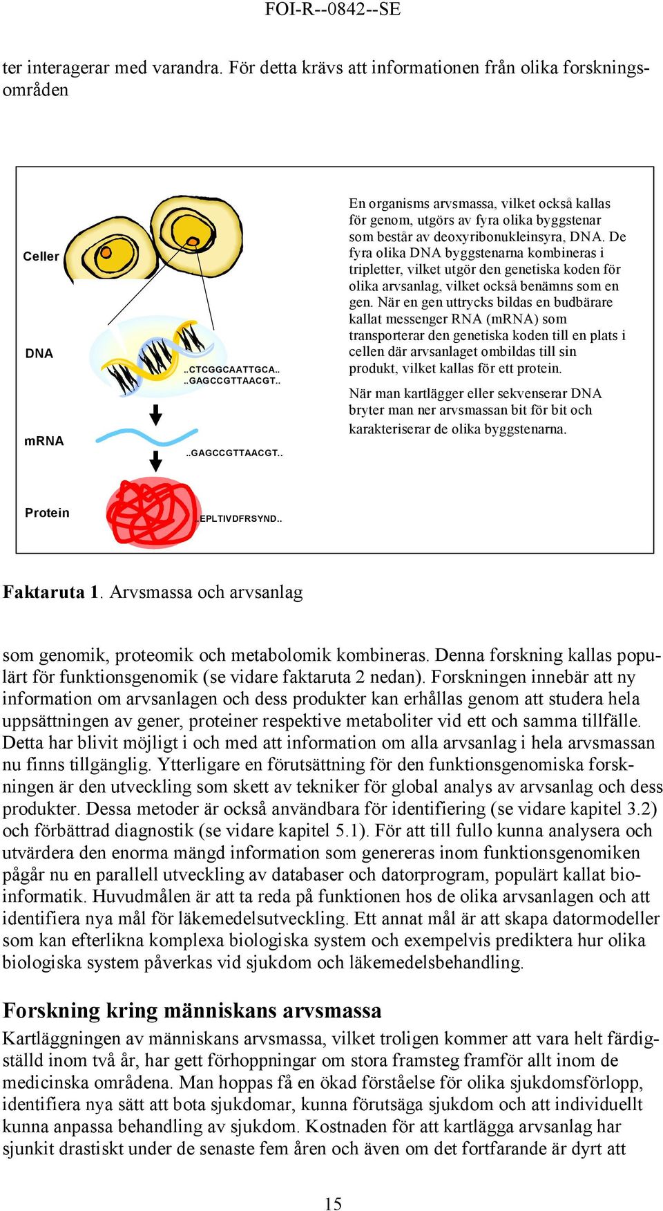 De fyra olika DNA byggstenarna kombineras i tripletter, vilket utgör den genetiska koden för olika arvsanlag, vilket också benämns som en gen.