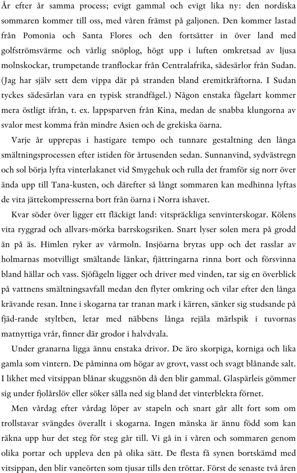 Centralafrika, sädesärlor från Sudan. (Jag har själv sett dem vippa där på stranden bland eremitkräftorna. I Sudan tyckes sädesärlan vara en typisk strandfågel.