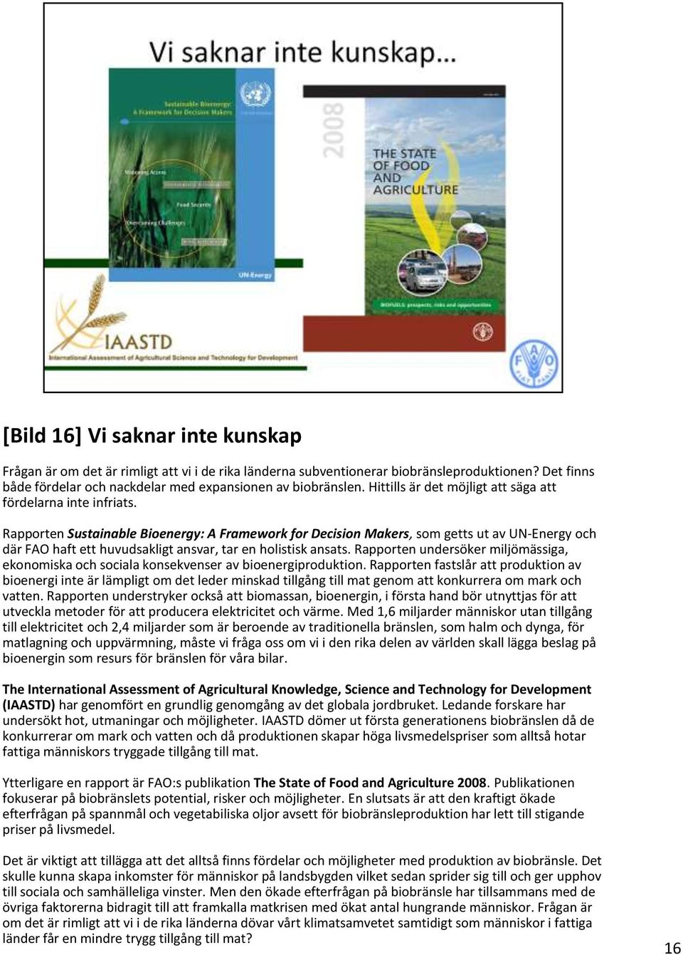 Rapporten Sustainable Bioenergy: A Framework for Decision Makers, som getts ut av UN-Energy och där FAO haft ett huvudsakligt ansvar, tar en holistisk ansats.