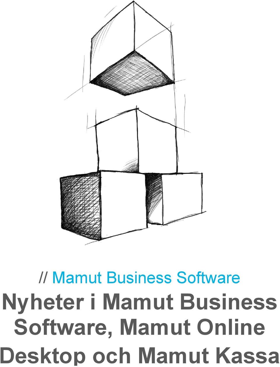 Business Software, Mamut