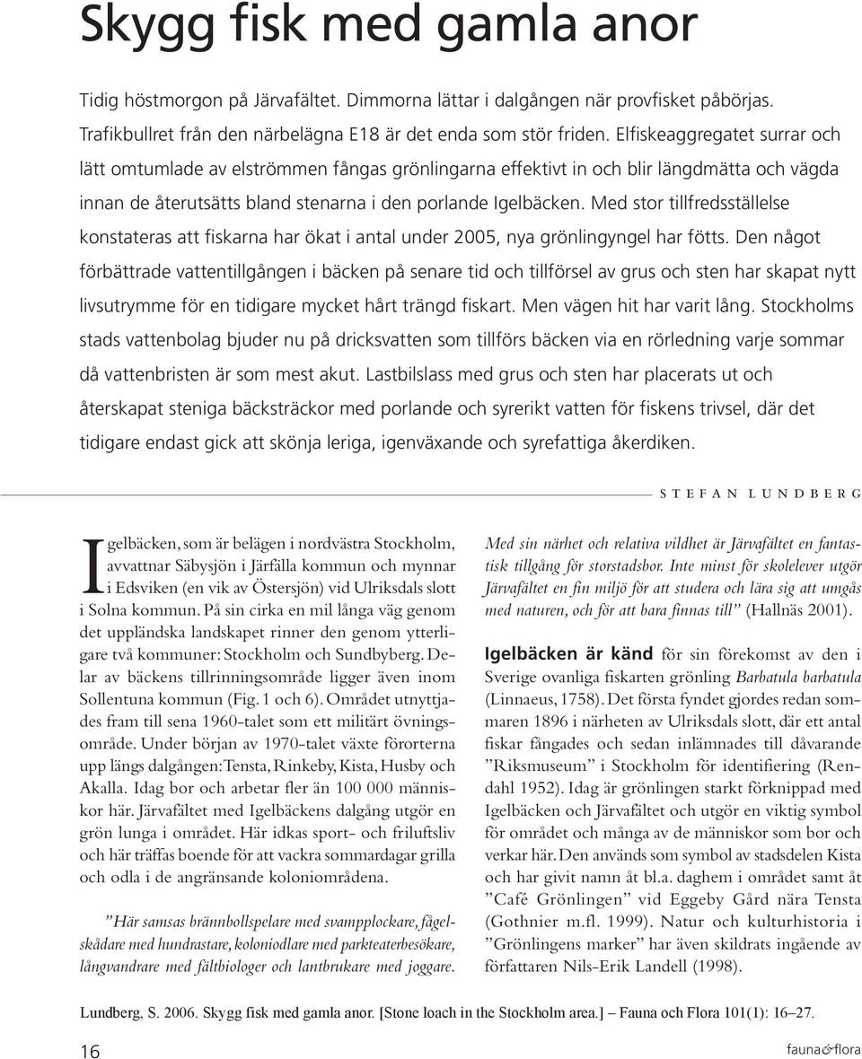 Med stor tillfredsställelse konstateras att fiskarna har ökat i antal under 2005, nya grönlingyngel har fötts.