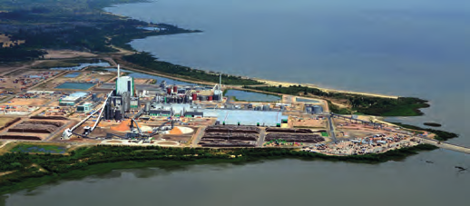 PARAGUAY BRASILIEN ARGENTINA URUGUAY Buenos Aires Montes del Plata Montevideo Stora Ensos satsning i Montes del Plata i Uruguay är på samma sätt som satsningen i Guangxi i Kina, ett geografiskt fokus
