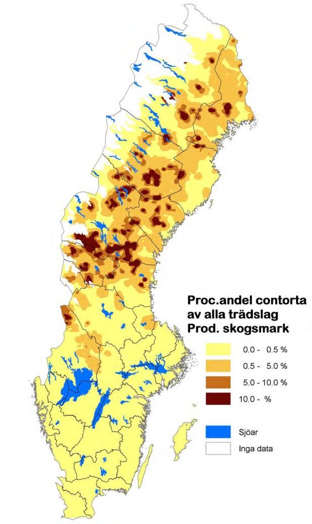 Nuvarande areal Frånsett contortan är användningen av främmande trädslag mycket liten i Sverige.