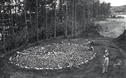 Stubbskörd och kulturmiljön Värna om skogens kulturarv Dagens skogar bär på minnen från tusentals år av människors verksamhet.