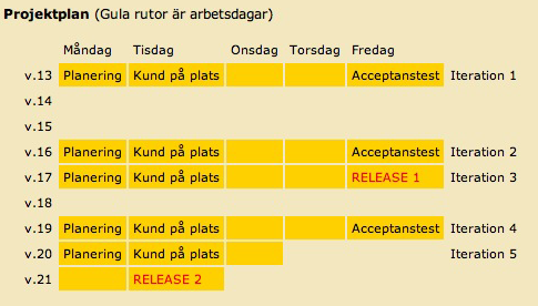 När XP inte fungerar Aktiviteter Kulturkrockar När ledningen vill styra allt För smarta programmerare Storleken har betydelse Fel fysisk miljö Kunden vill inte ta beslut på grundnivå När