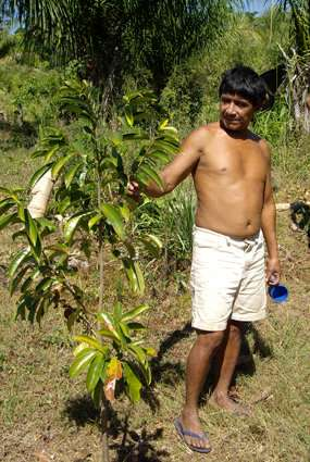 planterade bönor, manniok och kaffe, och har efter hand lagt till bananplantor, citrusträd, och annat som de kommer att kunna livnära sig på.