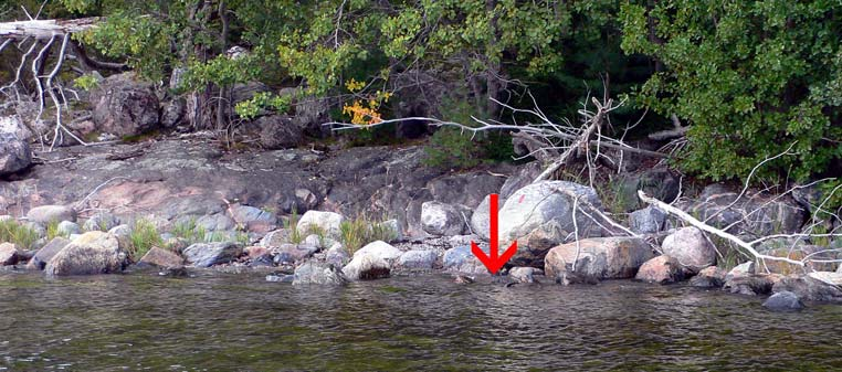 E 29 Larshagsudden Datum 2007-09-11 Vattenstånd + 2 dm Koordinater 6436214-1557578 Riktning 196º Orientering Transekten Larshagsudden ligger i Kvädö naturreservat och drygt två kilometer sydväst om