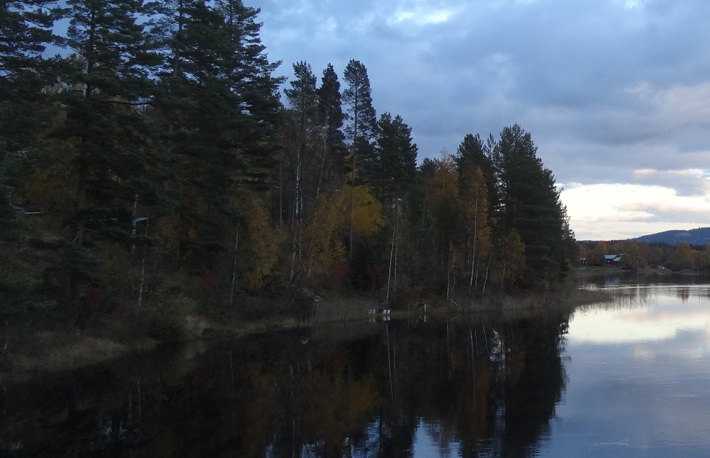 F6. ÖSTERDALÄLVEN Fokusområdet Österdalälven sträcker sig längs Vasaloppsspåret och Österdalälven från gränsen mot Älvdalens kommun ner till Säs och Läde.