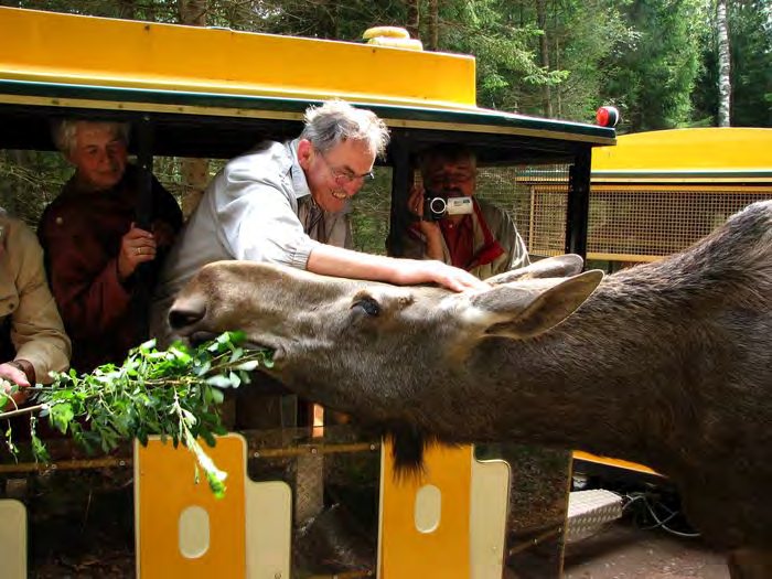 Älg safari i Markaryd Vi avslutar sommarens aktiviteter med att uppleva den smålänska skogen o skogens konung, ÄLGEN vi kommer även att se BISONOXE Dag: söndag den 25 augusti Tid: avresa från