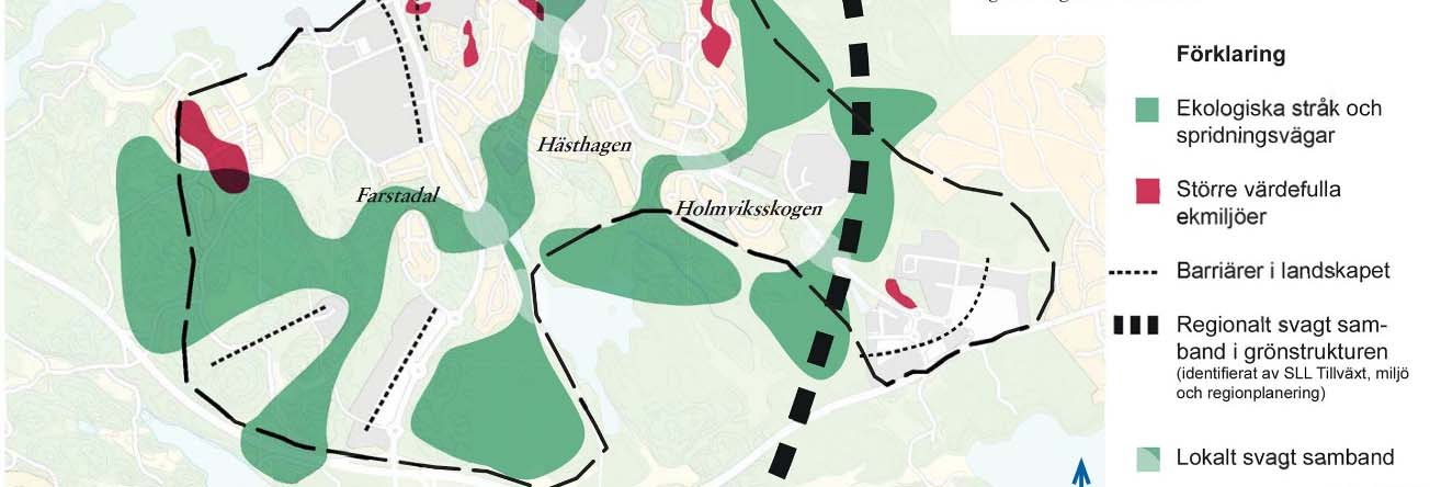 15KS/69 Sid 4(7) Kollektivtrafik Dagvatten utredning inklusive teknisk försörjning Störningar så som buller av ny ambulanshelikopter bas Förekomsten av förorenad mark Strandskydd Som en del i