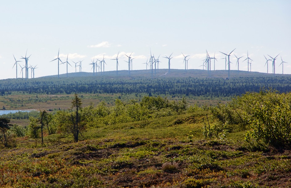 Fågelfaunan på Storblaiken 2010-2015