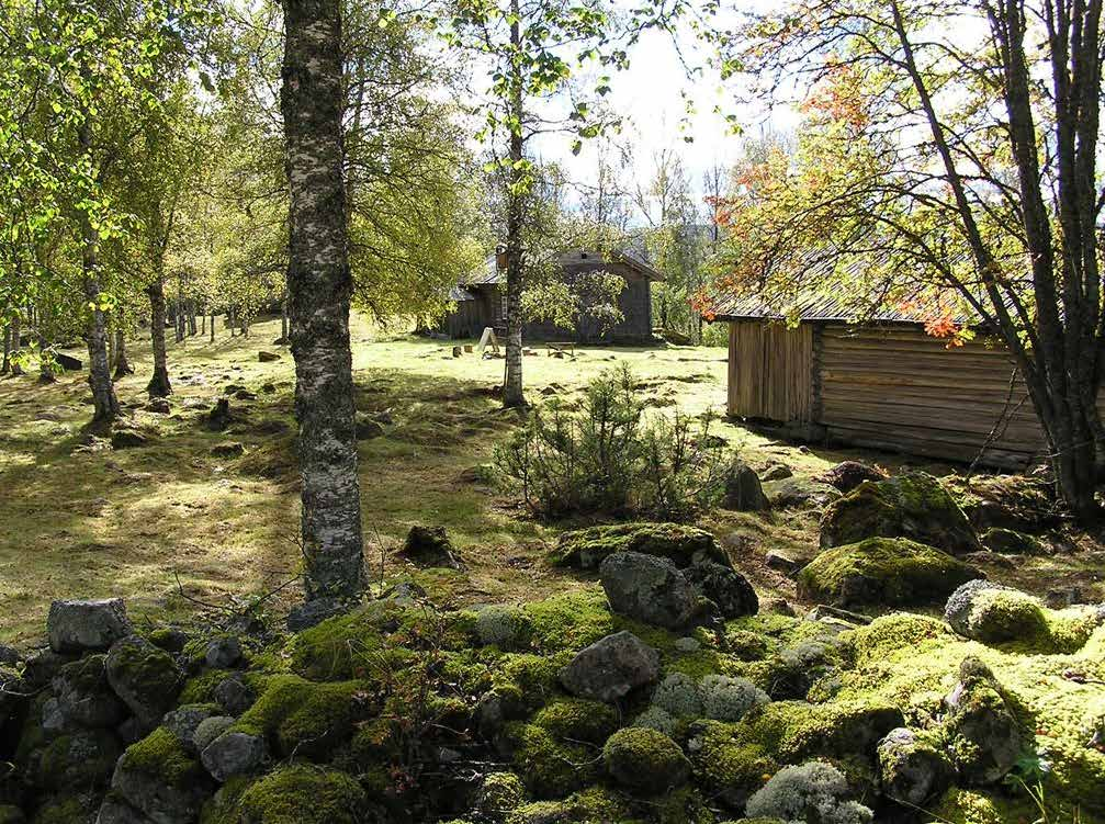 Abborrtjärnsberg efter genomförd slåtter. FOTO: Jan Wirtberg. Lieslåtter vid Abborrtjärnsberg. FOTO: Johanna Malmgren.