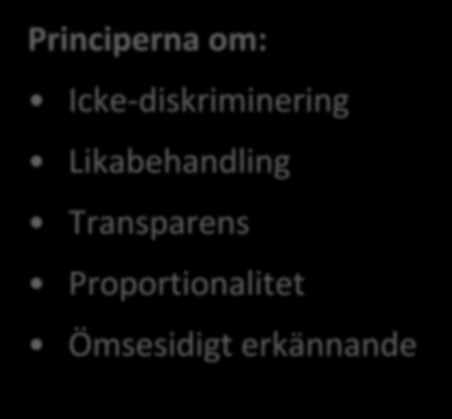 De grundläggande EG-rättsliga principerna Principerna om: