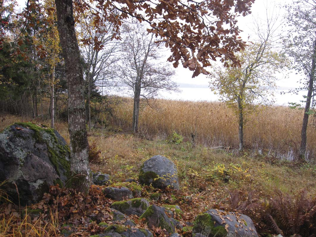 MELLINGEHOLM Försvaret lämnade sitt övningsområde i Mellingeholm utanför Norrtälje i samband med nedläggningen av Roslagens Luftvärnskår, Lv3, år 2000.