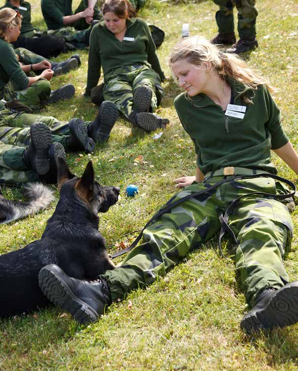 Ung med patrullhund