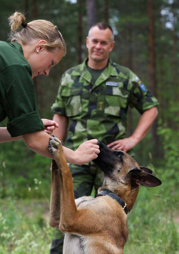 Söker du... Spänning Gemenskap Utmaningar Kamratskap Kunskap om patrullhund och hur det är att vara hundförare...då är det här något för dig!