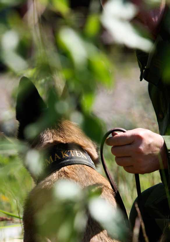 Patrullhund vad är det? Patrullhundens främsta uppgift är, att med hjälp av sina välutvecklade hörsel- och luktsinnen, varna sin förare för personer inom ett bevakningsområde.