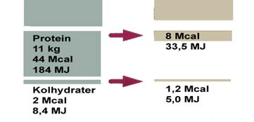 Negativ energibalans vid sjukdom Energiutgifter vid hälsa & sjukdom? Intag Förbrukning Protein AEE Fat? CHO TEF REE? 40 35 30 25 20 15 10 5 0 Frisk Stress Stress? AEE REE Energi - hur mycket?