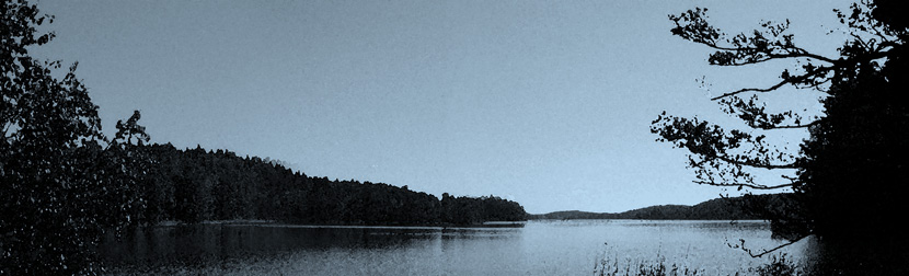 Foto: WSP Pilotprojekt 7 Pilotprojektet har genomförts av länsstyrelserna i Jönköpings, Värmlands och Östergötlands län. Medverkande kommuner har varit Tranås, Aneby och Karlstad.