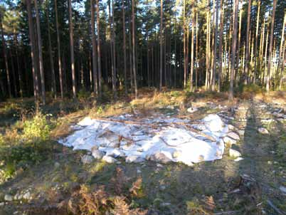 framstår som ensamliggande i landskapet. Det kan dock inte uteslutas att det finns en boplats i närområdet, tex söder eller sydöst om Lunda 284.