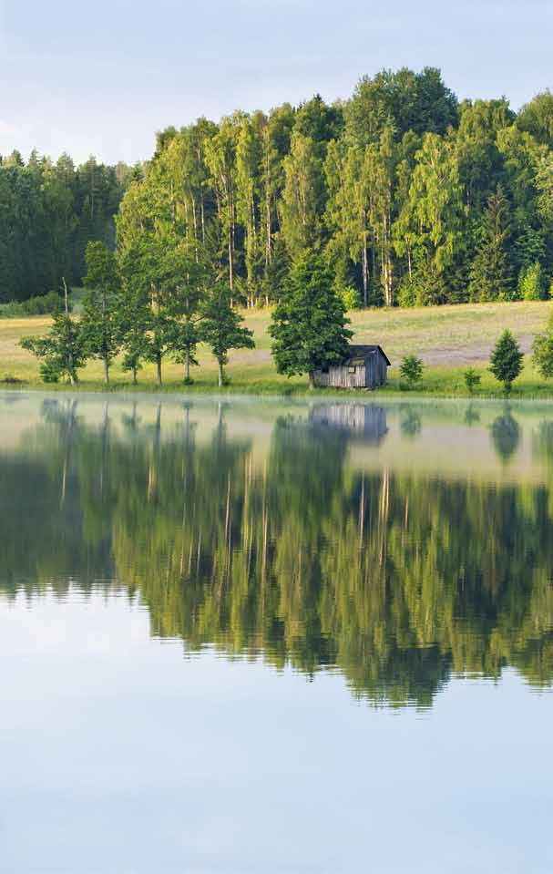 Geografisk information - Ytvattensystem - BEGREPPS - OCH APPLIKATIONSSCHEMA (SS 637008) På bara en liten bit av planetens yta, en kommun till exempel, trängs många olika världar.