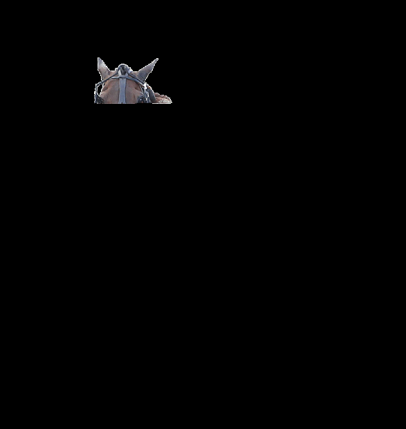 nprogrm Lindes Trvklu grundd veriges grönste