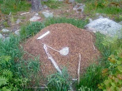 Metod Stärka barnen i deras eget val. Fråga barnen - göra dem delaktiga i verksamheten. Uppmuntra barnen att försöka själva i vardagssituationer. Du KAN! Dela in barnen i mindre grupper.