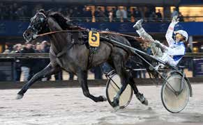 THAIGER M.T.KING EXCLUSIVE OF CASH Körsven: ohn Peter Untersteiner Tränre: ohn Peter Untersteiner Ägre: Ägre: SBP KM i Sverige Hästfrm AB i & Holm Bertil AB Bodén & Rolkur Inv.