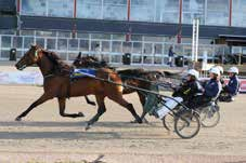 Strt 8: Bnkod 8 Rmirent Loppet - Stolopp -årig oh äldre ston. -. kr. m. Tillägg m vid vunn. kr, m vid. kr. Pris:.-.-.-.8-.-(.)- (.) kr. Hederspris till segrnde hästs ägre.