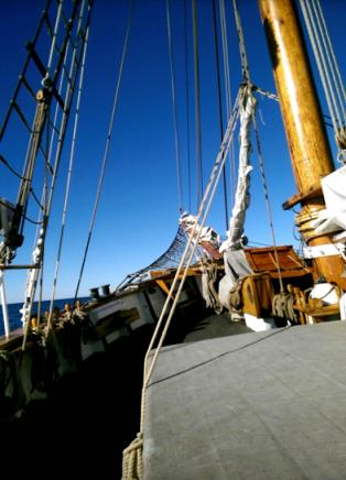 Tisdag 6 sep 2016 vi gick upp klockan 7 och åt frukost sen så skulle vi gå från hamn och sen satte vi segel, sen åkte vi mot Kungshamn.