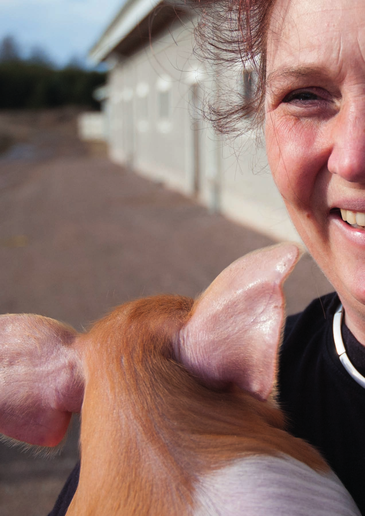 Jeanette Blackert är grisbonde i Skänninge i Östergötland och föder upp