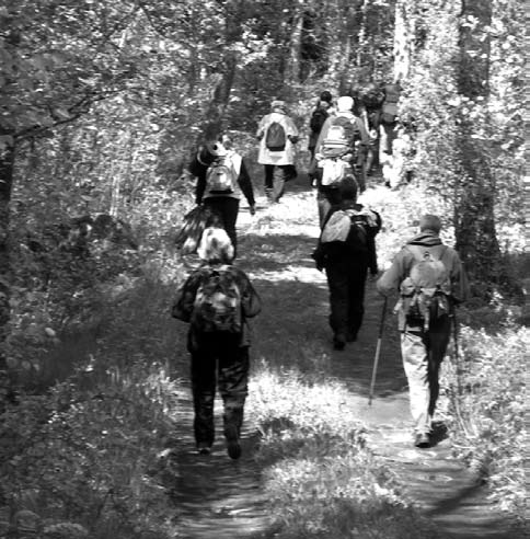 Andliga övningar i vardagen Detta är en annorlunda retreatform som sträcker sig över en längre tid, från en månad upp till ett år.