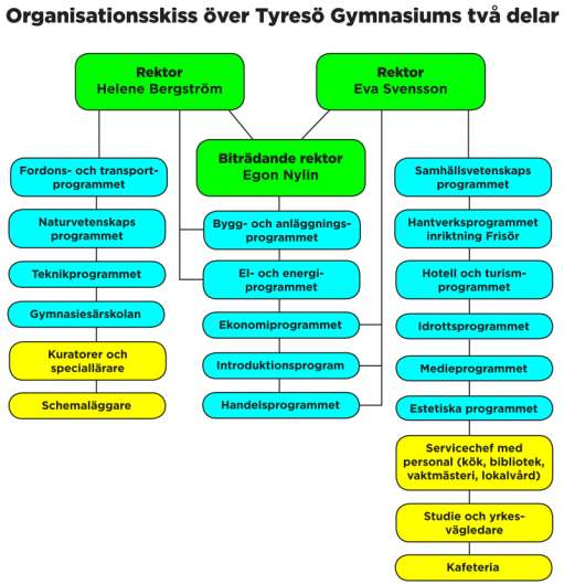 Verksamhetsbeskrivning Tyresö gymnasium exklusive gymnasiesärskola är en resultatenhet. Skolan har 12 olika nationella gymnasieprogram, fyra introduktionsprogram samt gymnasiesärskola.