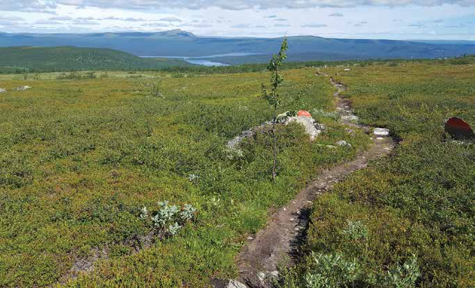 gästskribenten Foto: Lars H Gustafsson Övergångar och vilopunkter Foto: Aline Lessner En solig dag i juli ger vi oss av från Kyrkans fjällgård i Jäckvik.