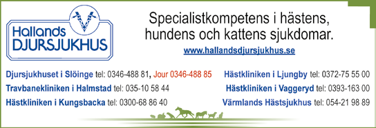 Styrelse Kjell Hedvll (ordf.), Vnj Sndgren (vie ordf.