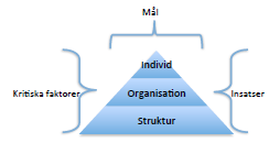 PROCESS Process för att nå långsiktiga effekter av projekt Kritiska faktorer (hindrande, främjande) för måluppfyllelse kan finnas hos såväl individen som i organisationer och struktur.