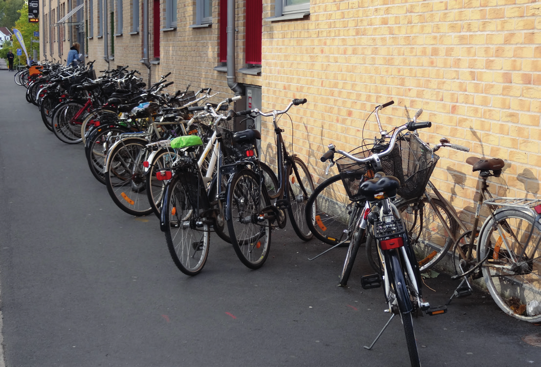 Bilinnehavet bland studenter och ungdomar är i regel betydligt lägre än bland övriga invånare varför en ytterligare kategori för bostäder införts, smålägenheter (<35 kvm).