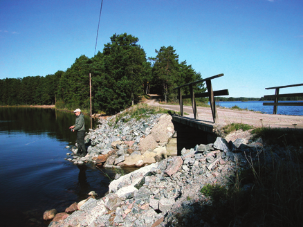 Sandvikens kommun Dalälven ett komplett fiskevatten I den allra sydligaste spetsen av Gävleborgs län finner du Färnebofjärden som en del av Dalälven. Fjärden är i det närmaste 5 000 hektar stor.