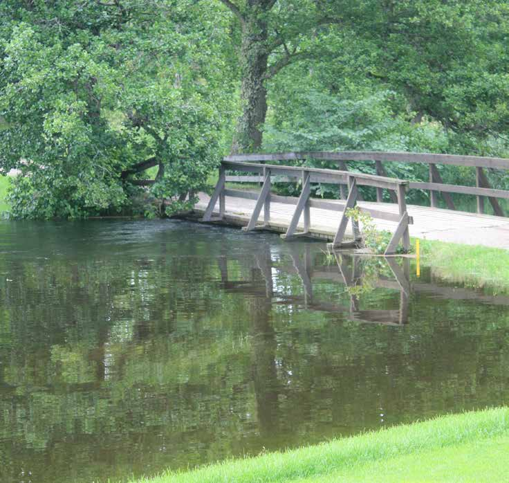 BANKOMMITTÉN Golfbana och skog 2015 Det blev inte så illa som för två år sedan när det gäller banans övervintring, men ett antal av våra greener har fått ta rejält med stryk av snö och framför allt