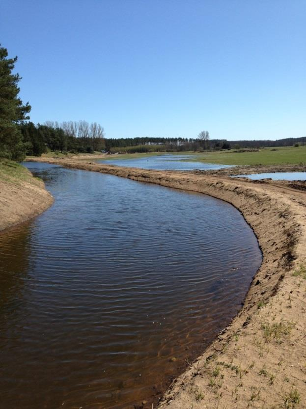 Etapp 1 Kävlingeåns Vattenvårdsprogram Målsättning: Anläggning av 60 ha våtmarker Genomföra översilningsprojekt vid Björka Återmeandring 1,8 km Trädplantering 3 km Avfasning av dikeskanter 1,5 km