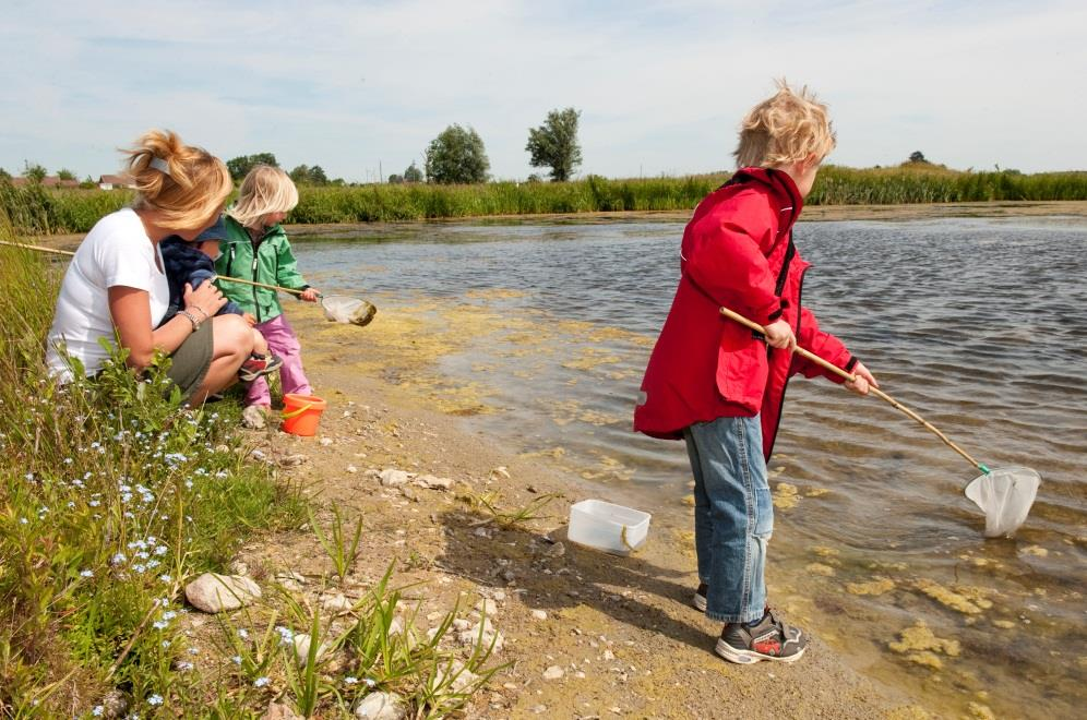 Allmänheten har fått mer natur att njuta av Fler skridskoisar Mer fågel