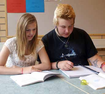 Introduktionsprogram De fem olika introduktionsprogrammen ersätter det tidigare individuella programmet.