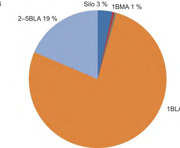 1BLA - bidrag till dos och risk På sidan 300 anges 1BLA:s bidrag till dosen.