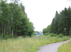 1 Skogsparti mot Marstrandsvägen Ogenomtränglig terräng med cykelväg som passerar genom. Mycket sly i ytterkant. Några fl ackare områden med gräs och vass mot idrottsplanen.