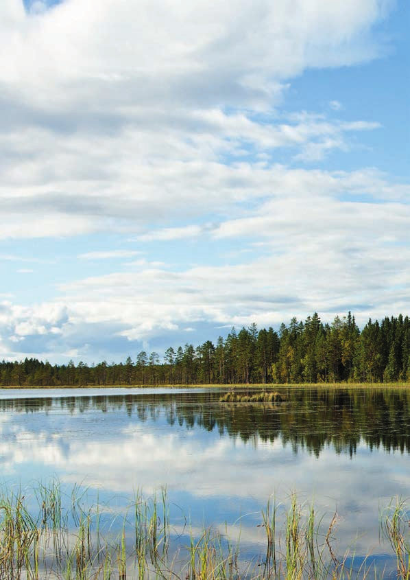 Stolthet från Hälsingland Vi gör fönster med historia. Vår plats är i Hälsingland där furorna som är vårt råmaterial växer.