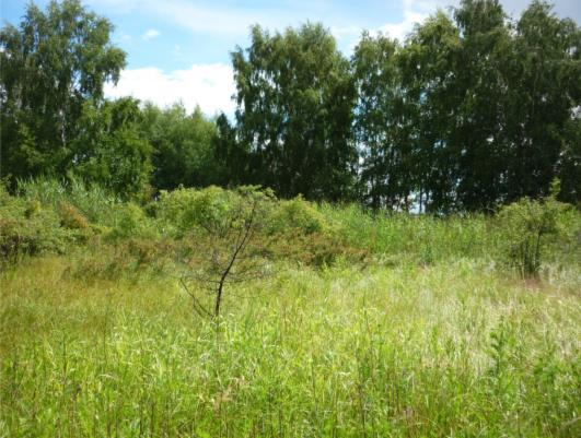 Ledningssträckningen och anläggningsarbetena kommer att beröra områden av högst naturvärdesklass 4, det vill säga områden med visst naturvärde.