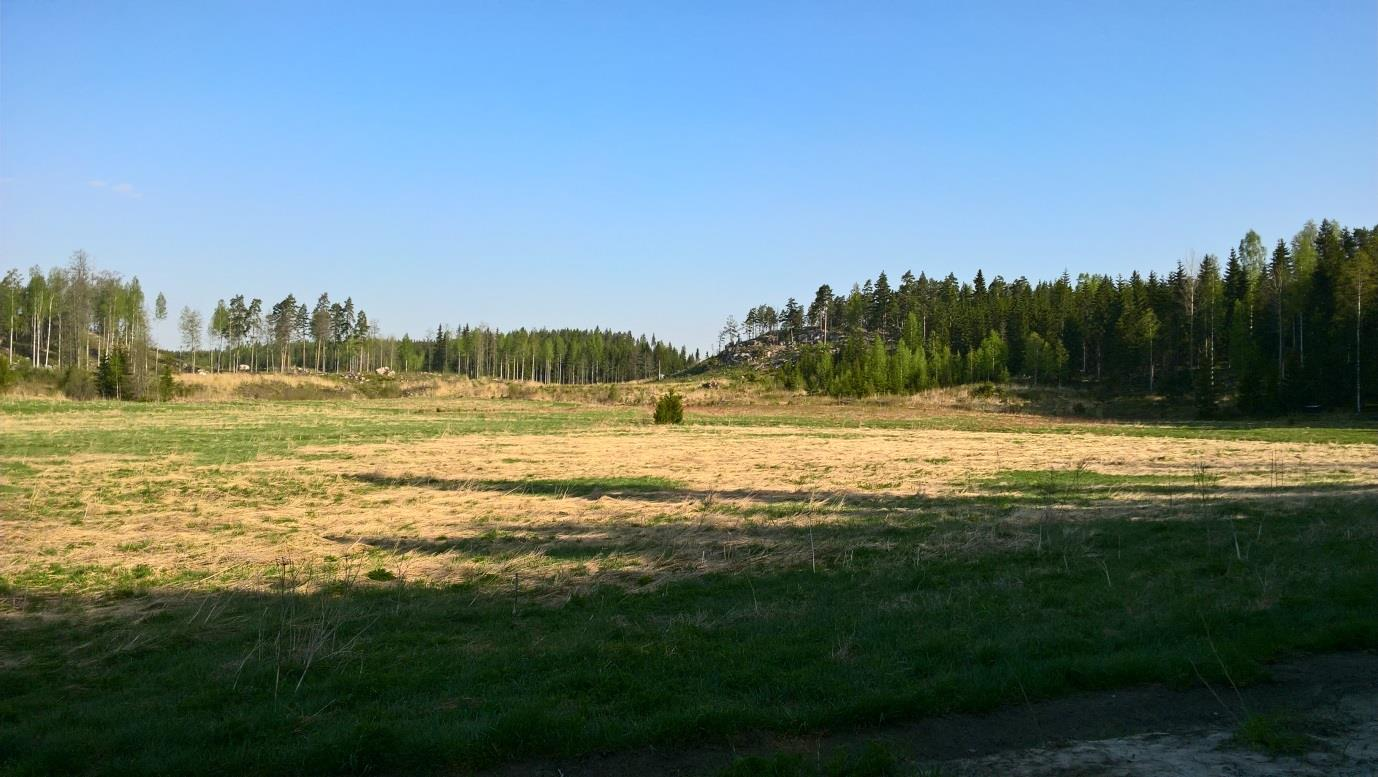 Mottagare Suomen Tuulivoima Oy Dokumenttyp Naturutredning Datum 19.5.