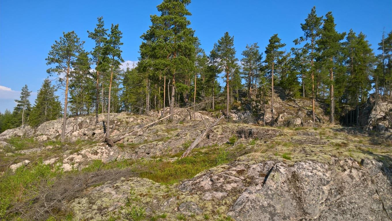 3 4. BEAKTANSVÄRDA VEGETATIONS- OCH NATURTYPSOB- JEKT 4.